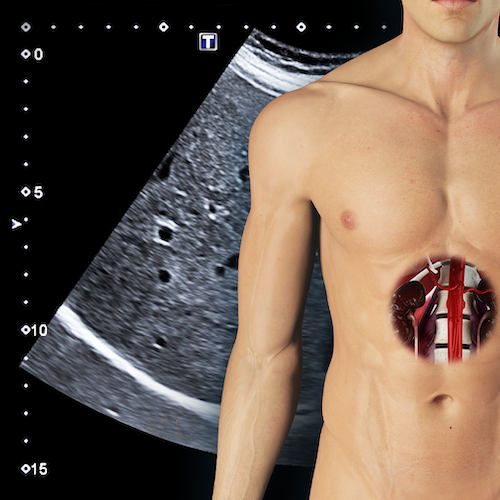 course poster