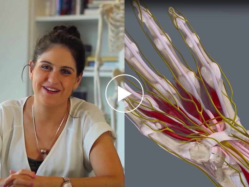 Carpal Tunnel Syndrome in 3D | Anatomy Slices