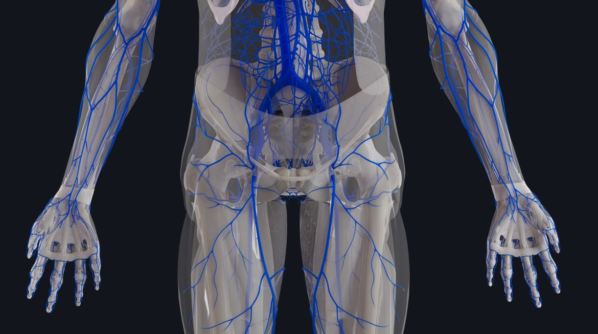 Intravenous drug administration