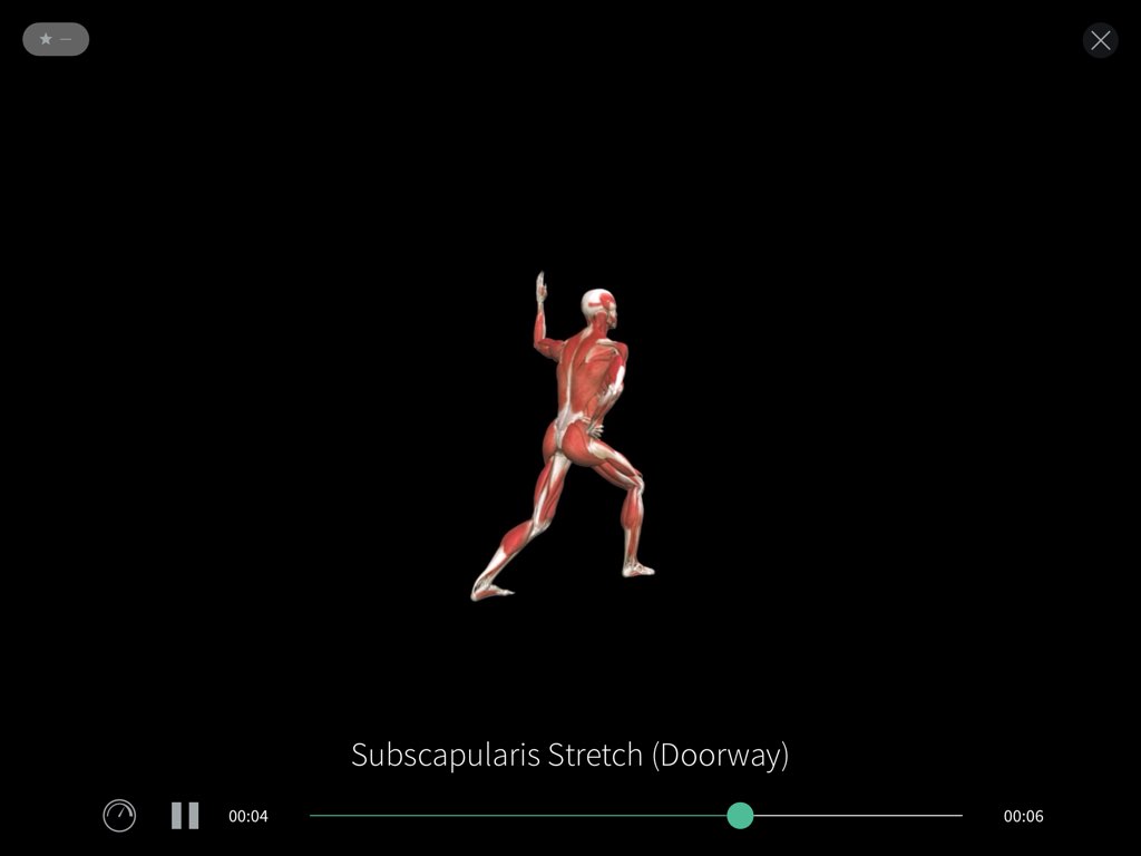 Subscapularis stretch video in Complete Anatomy