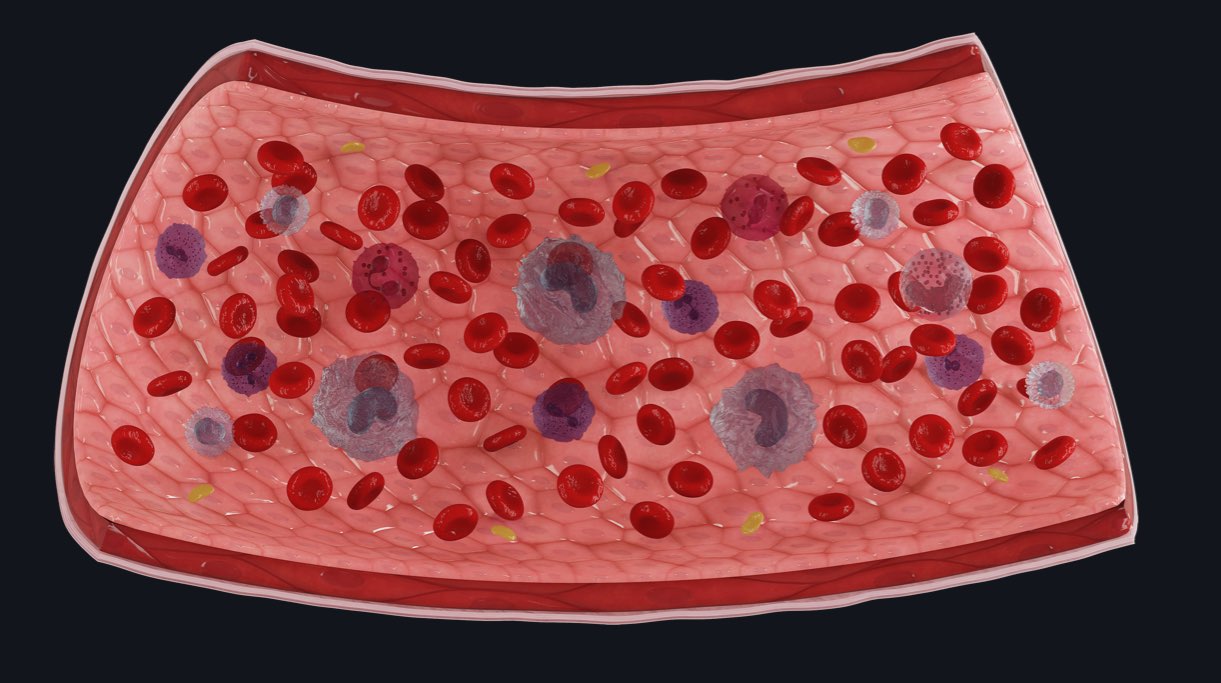 The physiology behind wound healing