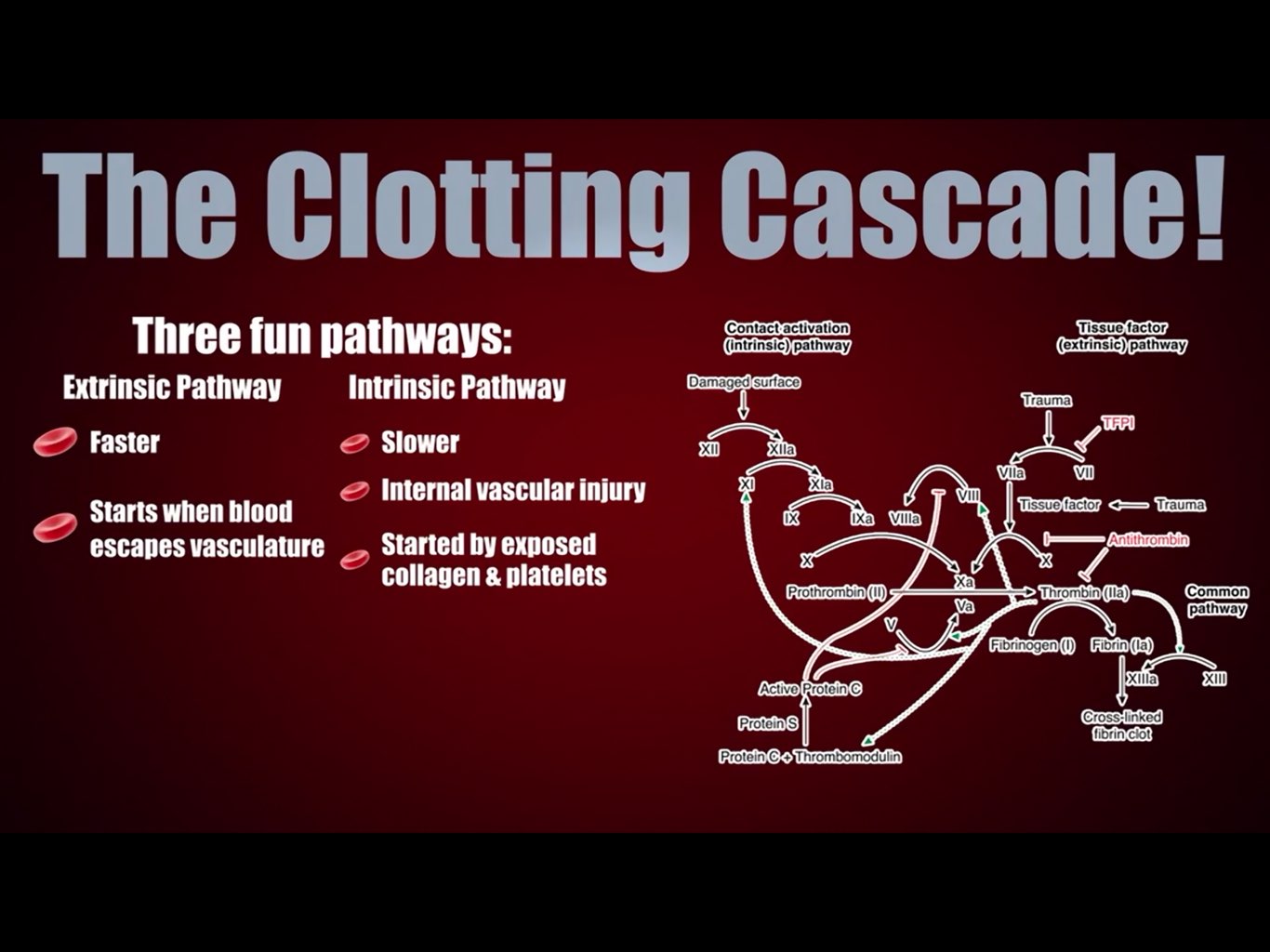 Anticoagulation Management Made Easy