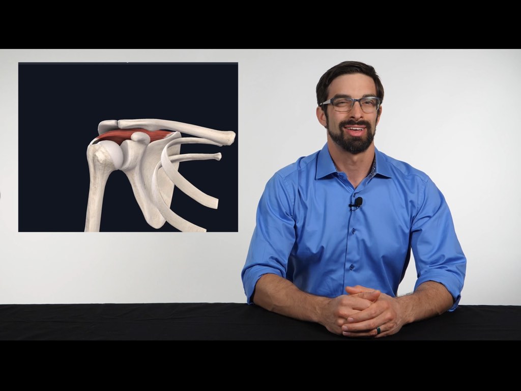 Orthopedic Special Tests of the Shoulder