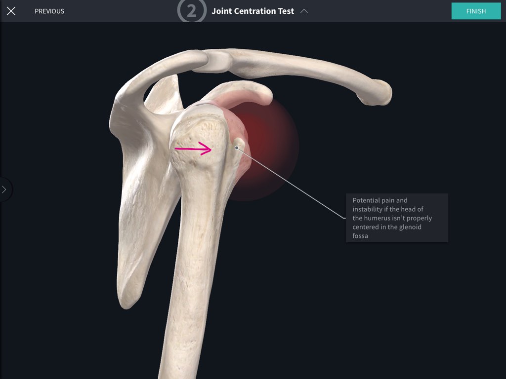 Orthopedic Special Tests Of The Shoulder - Complete Anatomy