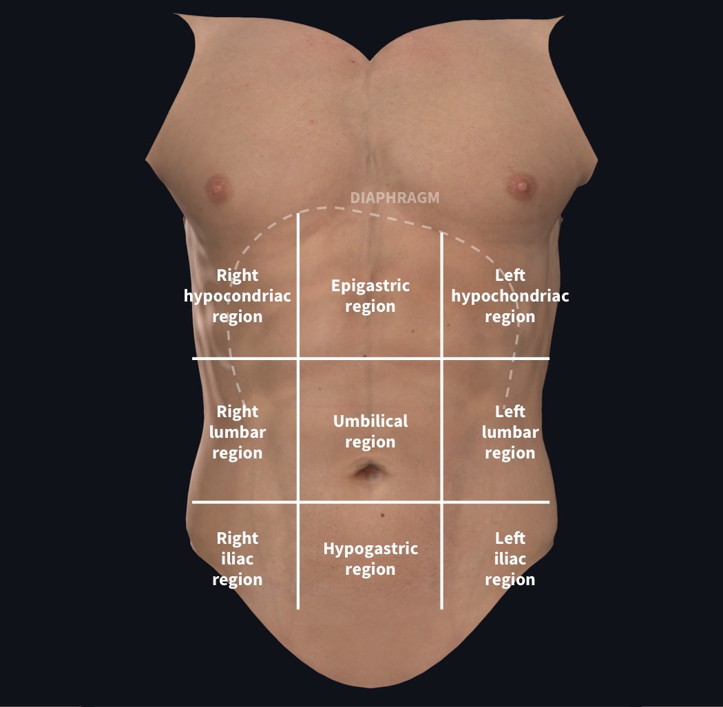 The 9 abdominal regions used in the physician’s exam