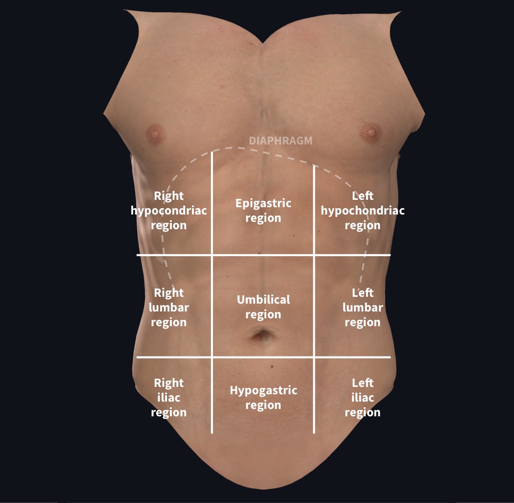 What Is The Correct Division For The Medical Term Epigastric