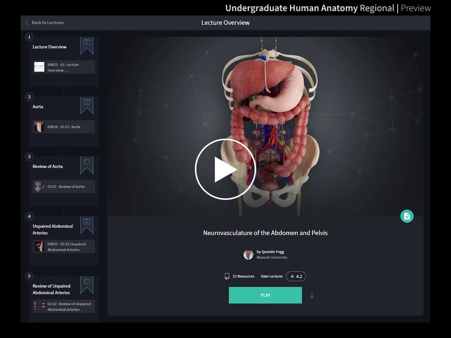 Undergraduate Human Anatomy: Regional