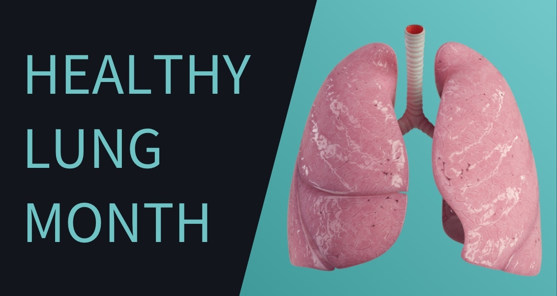 Healthy lungs for October Complete Anatomy